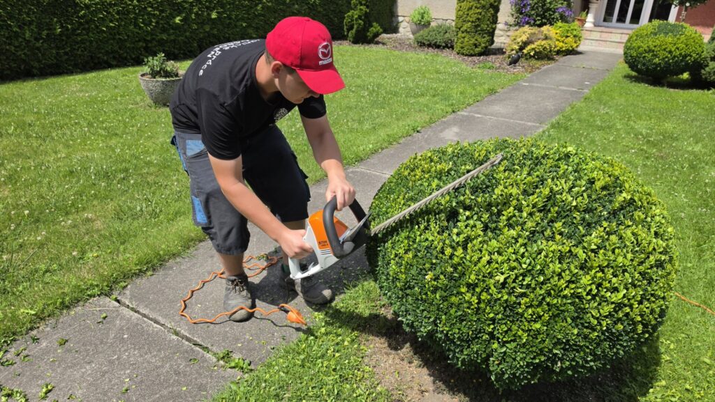 JB Garden – ukážka práce