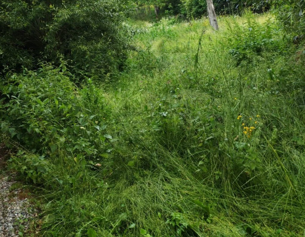 JB Garden – pred