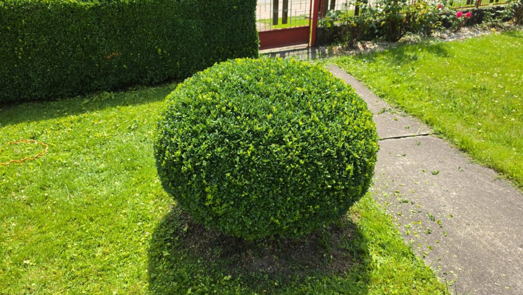 JB Garden – po