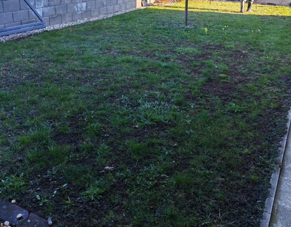 JB Garden – pred